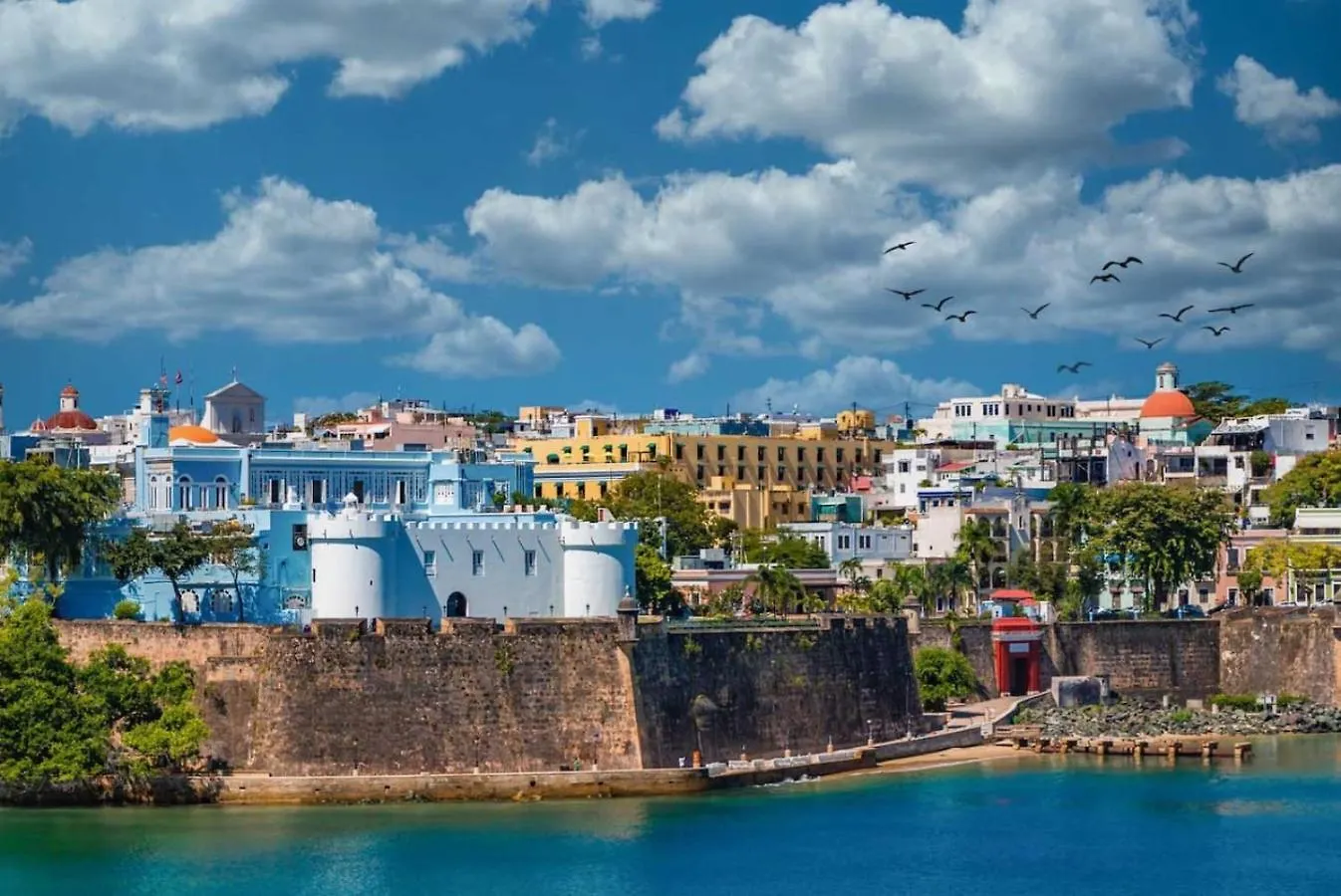 Private King Room With Bath In Shared Apartment San Juan Puerto Rico